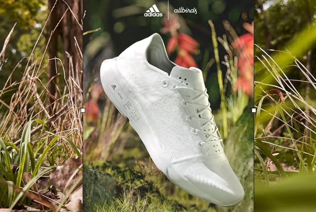 co-branding_adidas_Allbirds